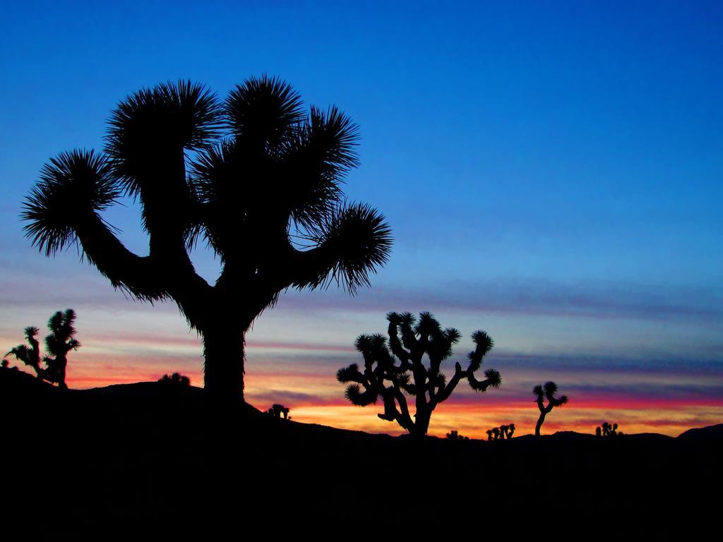 Raintree'S Cimarron Golf Resort Palm Springs Cathedral City Εξωτερικό φωτογραφία