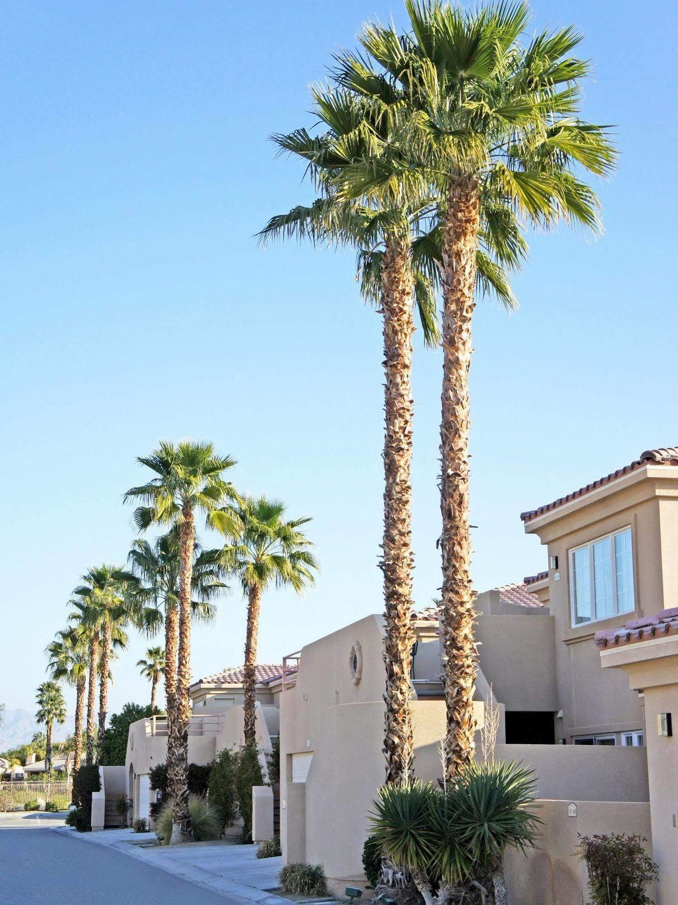 Raintree'S Cimarron Golf Resort Palm Springs Cathedral City Εξωτερικό φωτογραφία